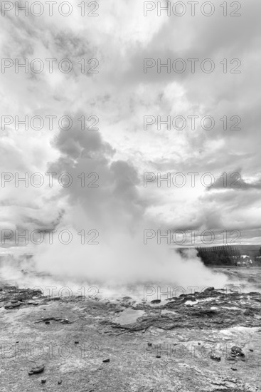 Active Strokkur, water column, high temperature area Haukadalur, tourist attraction at the Golden Circle, monochrome, Sudurland, Iceland