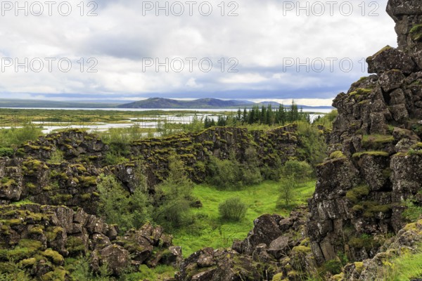 Thingvellir National Park, green volcanic landscape with Lake Þingvallavatn, Thingvallavatn in summer, rift valley, Almannagja, Allmans Gorge, tourist attraction on the Golden Circle, Sudurland, Iceland