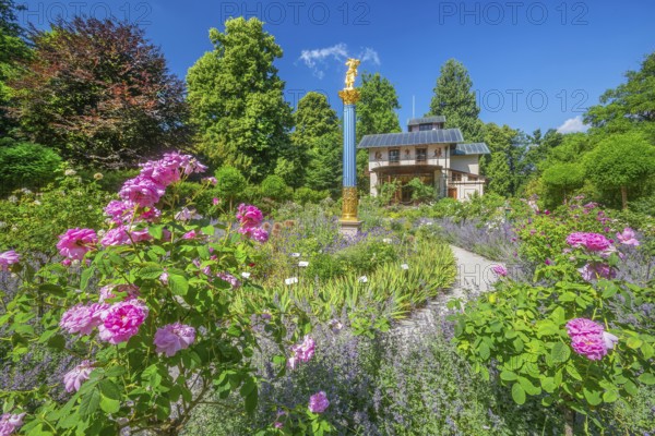 Rosarium with blooming roses in front of the Pompeian-Bavarian Casino on the Rose Island in Lake Starnberg, Feldafing, Upper Bavaria, Bavaria, Germany