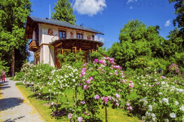 Rose garden in front of the Pompeian-Bavarian casino on the Rose Island in Lake Starnberg, Feldafing, Upper Bavaria, Bavaria, Germany