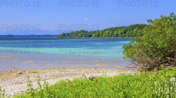 Lakeshore on the Roseninsel in Lake Starnberg, Feldafing, Upper Bavaria, Bavaria, Germany