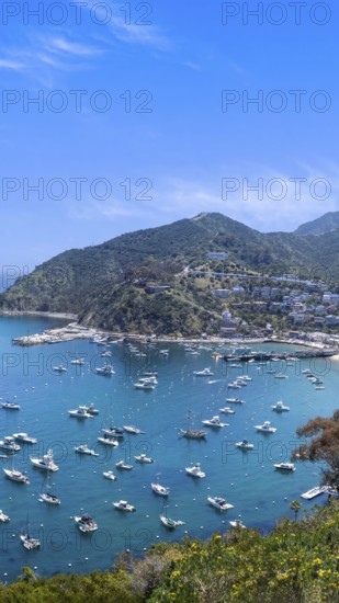 USA, California, panoramic view of Catalina Island Bay and Avalon. Chimes Lookout. Travel attraction