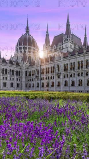 Hungary, panoramic view of the Parliament and Budapest city skyline of historic center