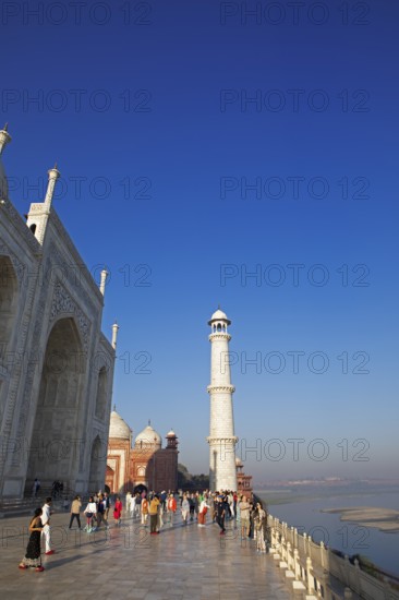 Taj Mahal or Taj Mahal in the morning light, on the right the river Yamuna, mausoleum, Agra, Uttar Pradesh, India