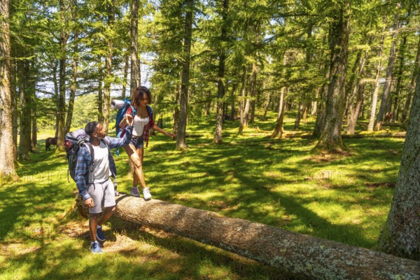 Hikers with backpacks carefully balancing on a fallen tree trunk while exploring a lush green forest