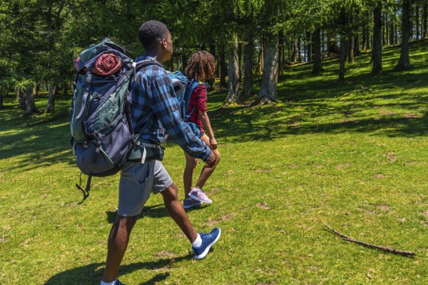 Two hikers are walking through a lush green forest on a sunny day, carrying backpacks and enjoying the tranquility of nature