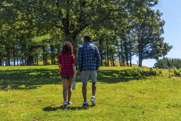 Couple walking on green meadow in mountain on sunny summer day, enjoying the nature, seen from behind