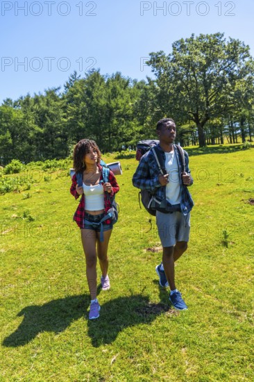 Young hikers walking in a green meadow by a forest on a sunny day, enjoying the beautiful nature during their outdoor adventure