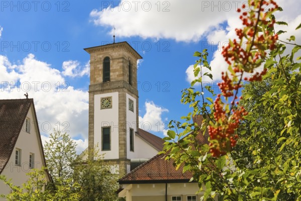 Protestant church, church, sacred building, church square, church tower, clock, on the right firethorn (Pyracantha coccinea), Gomaringen, district of Tübingen, Baden-Württemberg, Germany