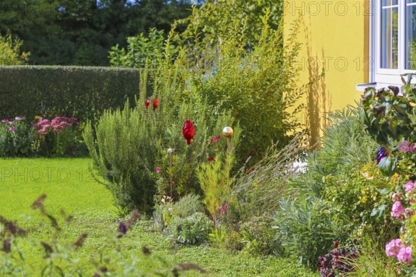 Front garden, well-kept garden, bed, flowers, plants, district Oberuhldingen, municipality Uhldingen-Mühlhofen, Lake Constance district, Baden-Württemberg, Germany