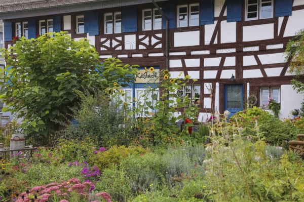 Kässtadel, KäStadel, on the lake, specialist cheese shop with bistro, cheese shop, delicatessen, café, regional cuisine, small restaurant, garden, idyll, still life, half-timbered house, blue wooden shutters, shutters, time out, stop off, Oberuhldingen district, Uhldingen-Mühlhofen municipality, Lake Constance district, Baden-Württemberg, Germany