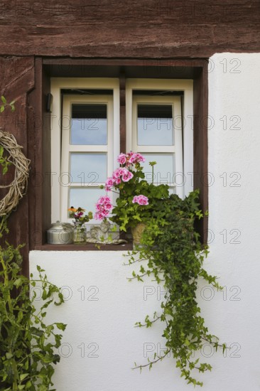 Kässtadel, KäStadel, on the lake, specialist cheese shop with bistro, cheese shop, delicatessen, café, regional cuisine, small restaurant, garden, idyll, still life, window with flowers, geraniums (pelargoniums), time out, stop off, Oberuhldingen district, Uhldingen-Mühlhofen municipality, Lake Constance district, Baden-Württemberg, Germany