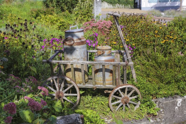 Kässtadel, KäStadel, on the lake, specialist cheese shop with bistro, cheese shop, delicatessen, café, regional cuisine, small restaurant, garden, idyll, still life with milk churns, trolley, flowers, plants, time out, stop off, Oberuhldingen district, Uhldingen-Mühlhofen municipality, Lake Constance district, Baden-Württemberg, Germany