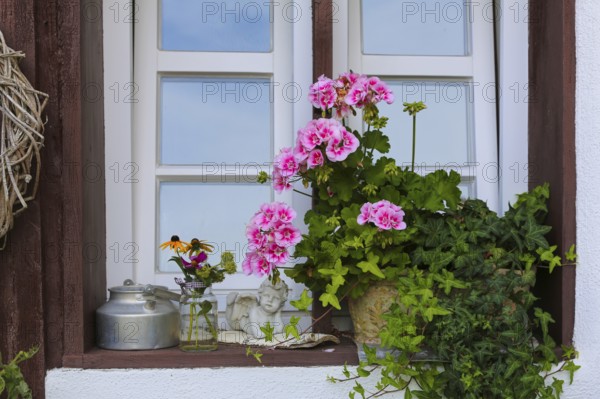 Kässtadel, KäStadel, on the lake, specialist cheese shop with bistro, cheese shop, delicatessen, café, regional cuisine, small restaurant, garden, idyll, still life, window with flowers, geraniums (pelargoniums), time out, stop off, Oberuhldingen district, Uhldingen-Mühlhofen municipality, Lake Constance district, Baden-Württemberg, Germany