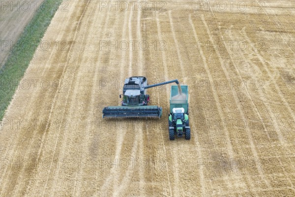 Closer look at a combine harvester loading crops onto a tractor, Korb im Rems Valley, Baden-Württemberg, Germany