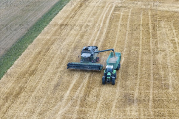 A combine harvester loads a tractor in a harvested field, Korb im Remstal, Baden-Württemberg, Germany