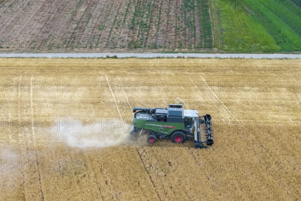 A combine harvester drives through a cornfield and harvests the grain in a green landscape