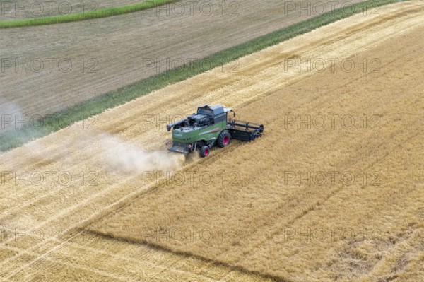 A combine harvester drives through a cornfield and harvests the grain while dust is stirring up, Korb im Rems Valley, Baden-Württemberg, Germany