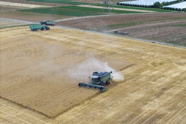 A combine harvester harvesting on a grain field surrounding the field while dust rises, tractor, basket in the Rems Valley, Baden-Württemberg, Germany