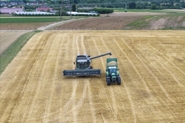 Combine harvester and tractor in an agricultural area, Korb im Remstal, Baden-Württemberg, Germany
