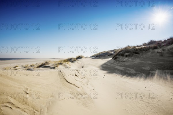 Dunes and blue sky in winter, Spiekeroog, East Frisian Islands, Lower Saxony, Germany