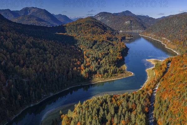 Mountain lake, mountains, sunny, morning light, autumn, autumn color, forest, aerial view, Sylvensteinsee, Upper Bavaria, Bavaria, Germany