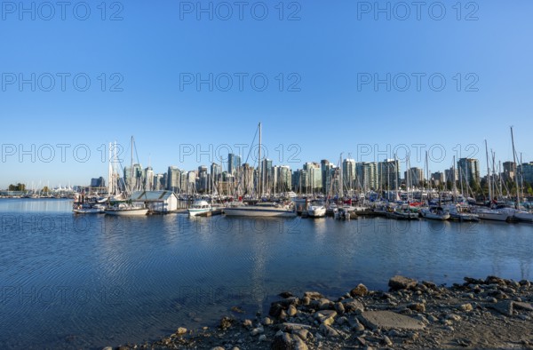 Skyscrapers, yachts and sailboats in the marina, Vancouver skyline, Vancouver, British Columbia, Canada