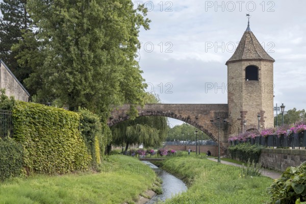 Tour des Pêcheurs, Fischertor, Haguenau, Haguenau, Bas-Rhin Department, Alsace, France