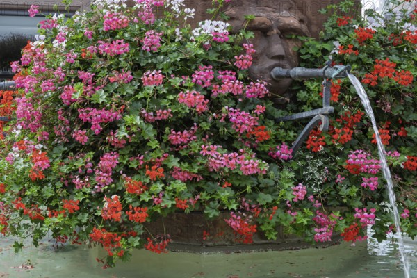 Gargoyles at Georgenbrunnen in Haguenau, Hagenau, Bas-Rhin department in the Alsace region, France