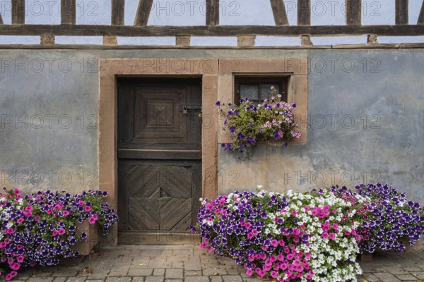 Rustic wooden door and window in a timbered wall surrounded by colorful flowers, Alsace, France