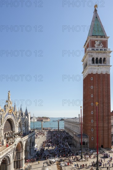 Basilica San Marco, St Mark's Square, Campanile, Venice, Veneto, Italy