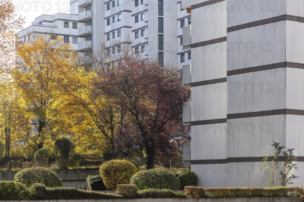 Residential complex in autumn. Colourful shrubs contrast with the dreary façade of the buildings. Stuttgart, Baden-Württemberg, Germany