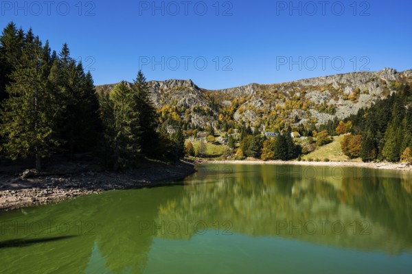 Picturesque mountain lake in autumn, Lac de Forlet, Lac des Truites, Col de la Schlucht, Vosges, Alsace-Lorraine, Department of Vosges Haut-Rhin, France
