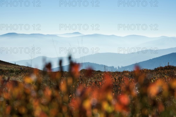 Staggered mountain ranges in haze, at Hohneck, Col de la Schlucht, Vosges, Alsace-Lorraine, Vosges Haut-Rhin Department, France
