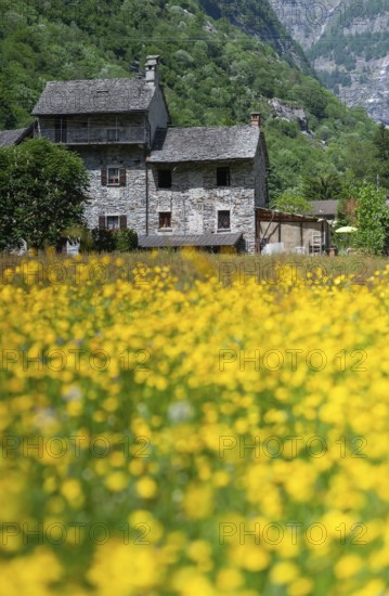 Traditional stone farmhouse, Sonogno, Upper Verzasca Valley in the Canton of Tessin, Switzerland