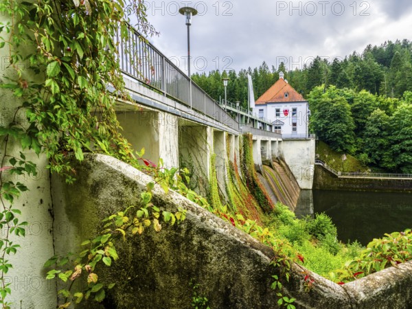 Power plant at lake Höllsteinsee, river Black Regen, region Regen, National Park Bavarian Forest, Bavaria, Germany
