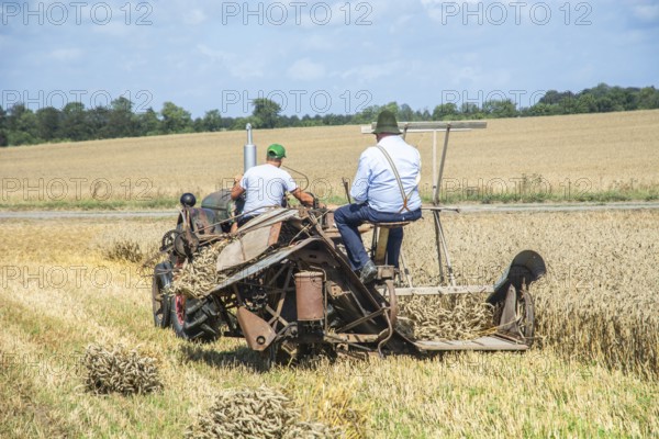 Older tractor-drawn self-binder harvesting wheat at old-fashioned harvest festival in Svenstorp, Ystad municipality, Skåne county, Sweden, Scandinavia