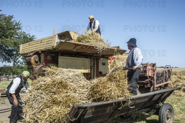 Work at old stationary thresher at old-fashioned harvest festival in Svenstorp, Ystad municipality, Skåne county, Sweden, Scandinavia