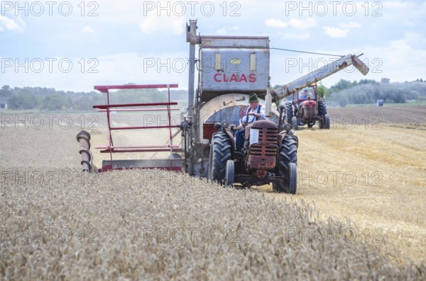 Older tractor-drawn Claas combine harvester harvesting wheat at old-fashioned harvest festival in Svenstorp, Ystad municipality, Skåne county, Sweden, Scandinavia