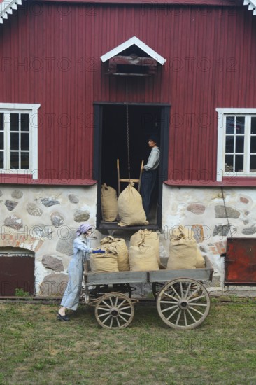 Older wagon with sacks of grain being delivered to the mill in Svenstorp, Ystad Municipality, Skåne County, Sweden, Scandinavia