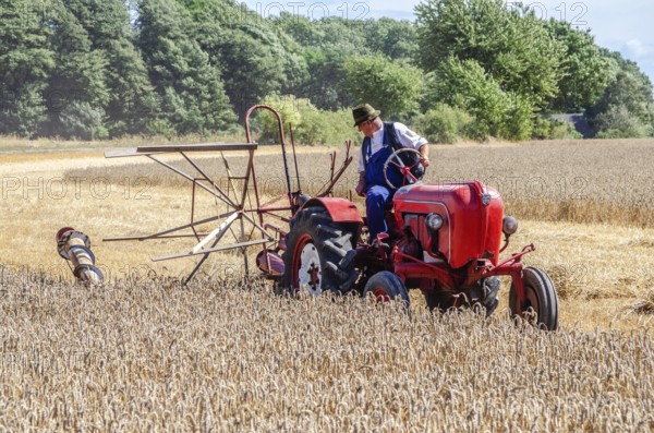 Older Allgaier-Porsche tractor with self-binder harvesting wheat at old-fashioned harvest festival in Svenstorp, Ystad municipality, Skåne county, Sweden, Scandinavia