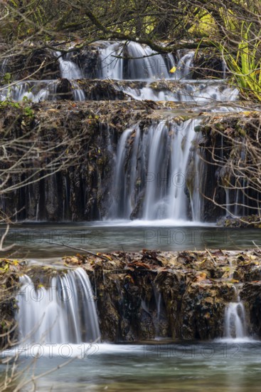 Sinterterrassen der Weißen Lauter, Bach, Water, Autumn, Donntal, Gutenberg, Swabian Jura, Baden-Württemberg, Germany