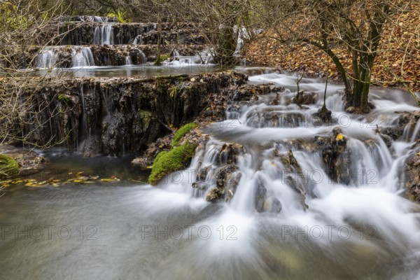 Sinterterrassen der Weißen Lauter, Bach, Water, Autumn, Donntal, Gutenberg, Swabian Jura, Baden-Württemberg, Germany