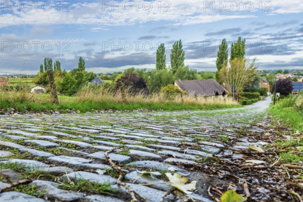Hill of Koppenberg, Cobblestones at the cycling classic Tour of Flanders, Ardennes, Flanders, Belgium