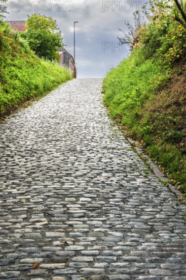 Hill of Koppenberg, Cobblestones at the cycling classic Tour of Flanders, Ardennes, Flanders, Belgium