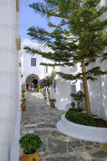 Ano Mera, Mykonos, Cyclades, Greece - The Panagia Tourliana monastery is the center of Ano Mera. The 16th century men's convent on the village square in the interior of the island is now a tourist attraction much visited by tourists