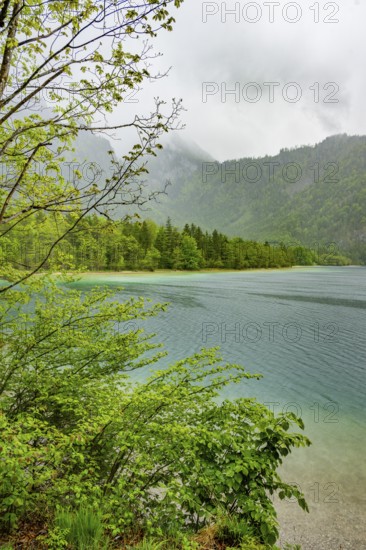 Landscape of Lake Offensee on a rainy day in spring, Salzkammergut, Austria