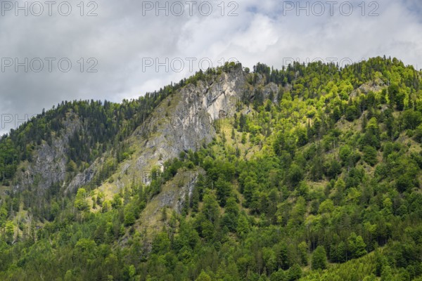 View into the mountains next to Lake Offensee on a rainy day in spring, Salzkammergut, Austria, Europe, Salzkammergut, Austria, Europe