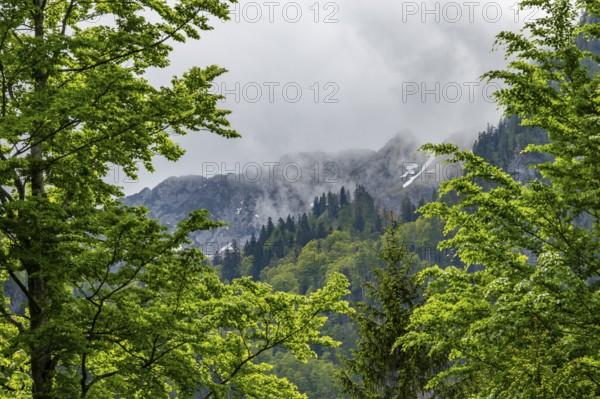View into the mountains next to Lake Offensee on a rainy day in spring, Salzkammergut, Austria, Europe, Salzkammergut, Austria, Europe
