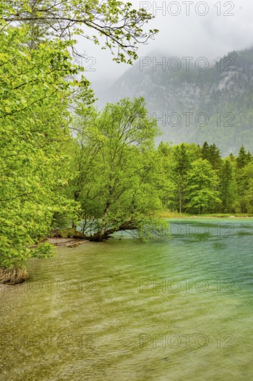 Landscape of Lake Offensee on a rainy day in spring, Salzkammergut, Austria